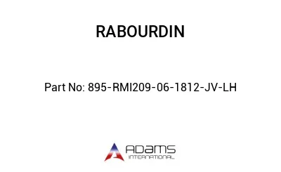 895-RMI209-06-1812-JV-LH