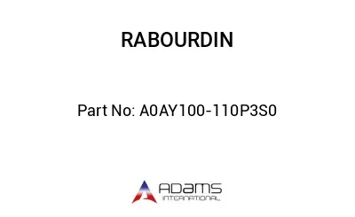 A0AY100-110P3S0