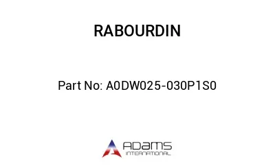 A0DW025-030P1S0