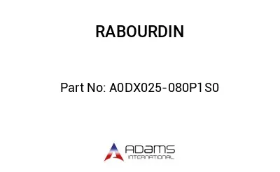 A0DX025-080P1S0