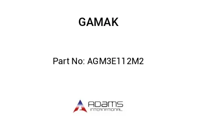 AGM3E112M2