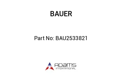 BAU2533821