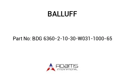 BDG 6360-2-10-30-W031-1000-65									