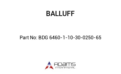 BDG 6460-1-10-30-0250-65									