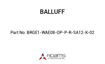 BRGE1-WAE08-OP-P-R-SA12-K-02									