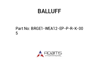 BRGE1-WEA12-EP-P-R-K-00	5								