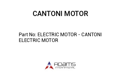 ELECTRIC MOTOR - CANTONI ELECTRIC MOTOR