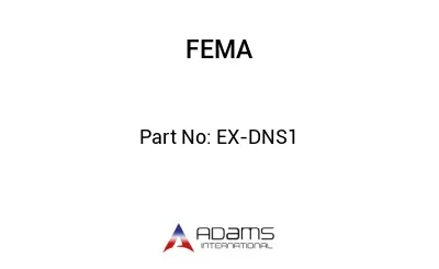 EX-DNS1