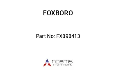 FX898413