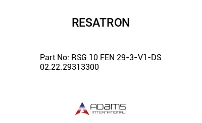 RSG 10 FEN 29-3-V1-DS 02.22.29313300