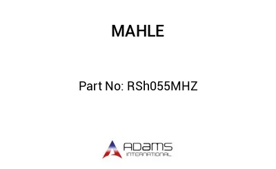 RSh055MHZ