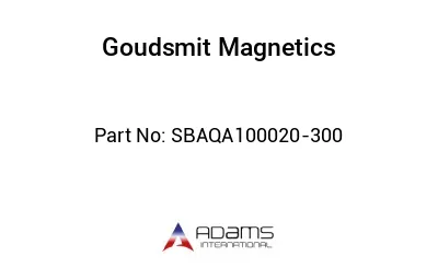 SBAQA100020-300