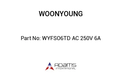 WYFSO6TD AC 250V 6A